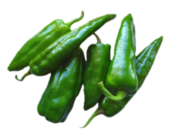 Jalapeño Peppers